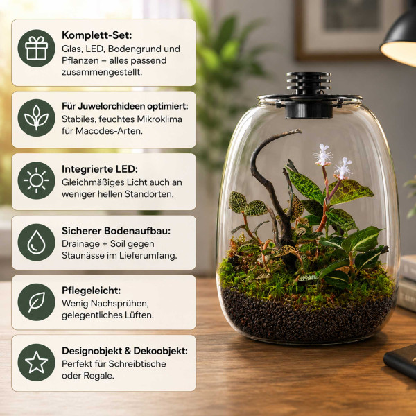 Juwelorchideen Flaschengarten Set Besonderheiten