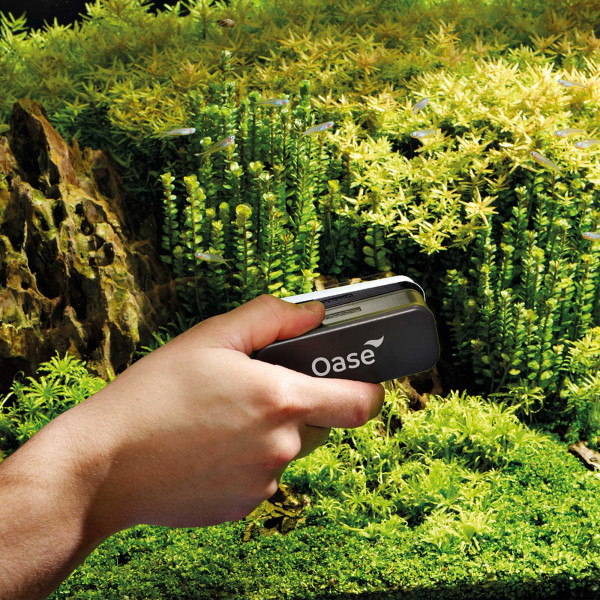 Oase Magnet-Scheibenreiniger