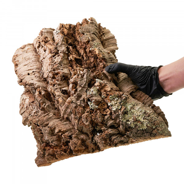 Korkplatten für Terrarium | 30-50cm