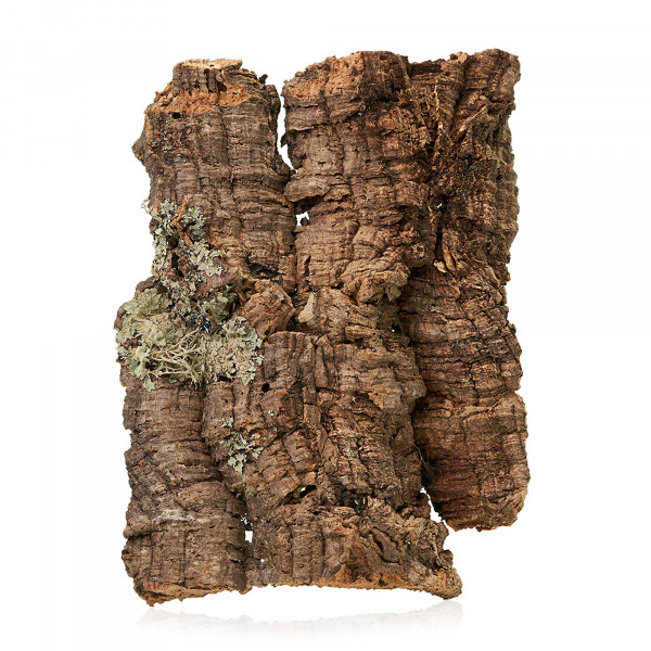 Korkplatten für Terrarium | 30-50cm