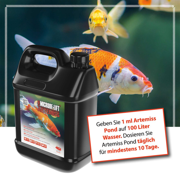 ARKA TEICH Artemiss | Fischpflege auf Kräuterbasis