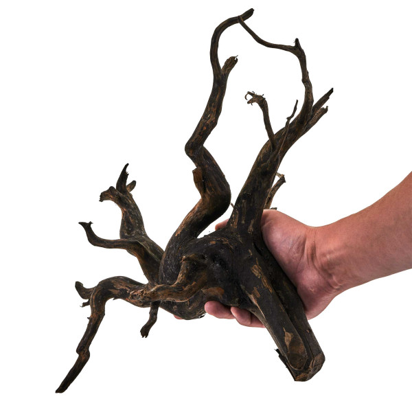 Black Wood Wurzel | Set L Einzelstück größe
