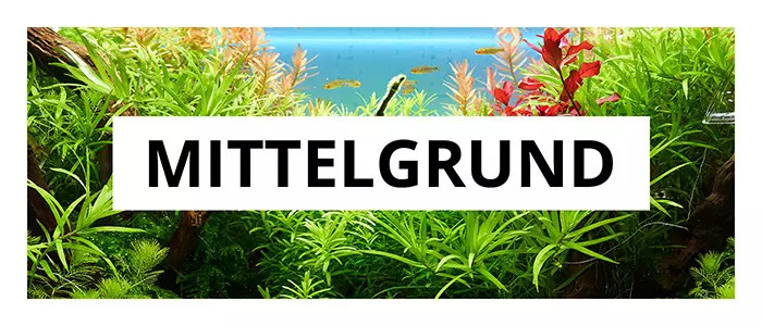Tfwadmx Aquariumpflanzen 4 Stück | Künstliche Wasserpflanzen Rot | Dekoration Für Aquarium | Ca. 32 Cm Hoch
