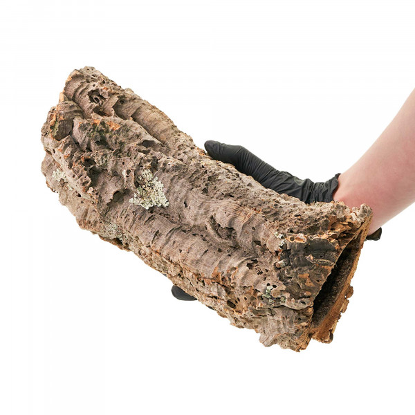 Korkröhren für Terrarium | Natürliche Verstecke und Klettermöglichkeiten Einzelstück