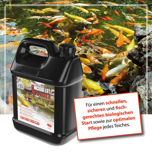 ARKA TEICH Nite-Out II | Starterbakterien