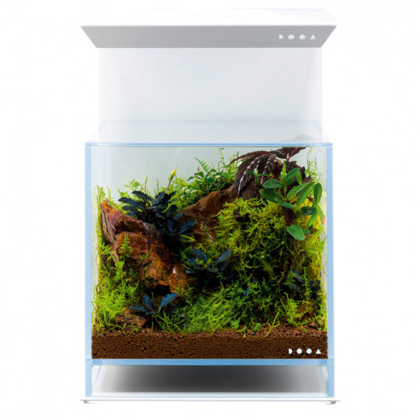 DOOA Magnet Light Stand 20L mit DOOA Neo Glass 20x20