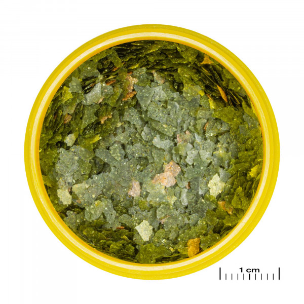 JBL ProNovo Guppy Flakes | Guppyfutter