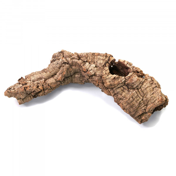 Naturkorkstücke | Korkstücke für Terrarium, Paludarium & Wabi-Kusa - 5 - 20cm