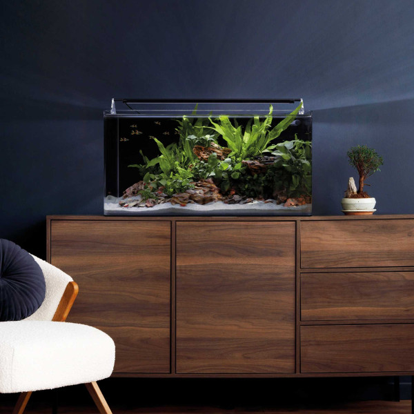 Dennerle Nano Tank Complete 60 Liter Beispiel
