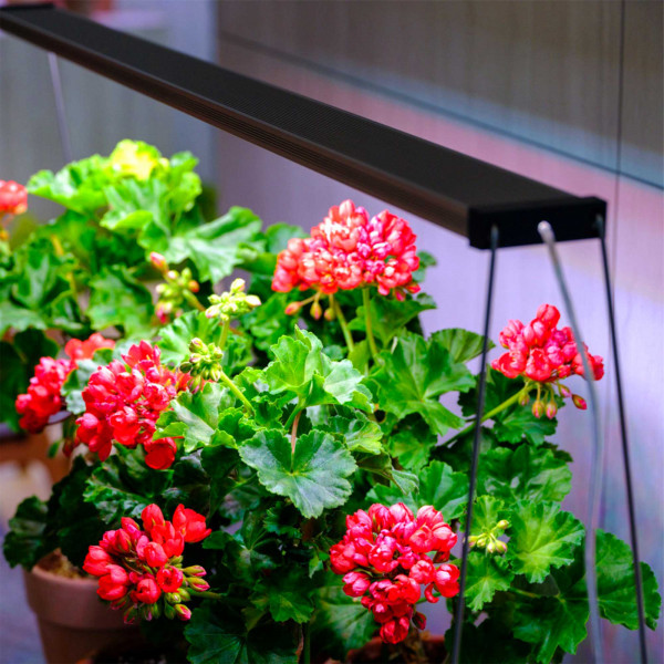 Twinstar Spring Wire 35cm Set | Lampenständer