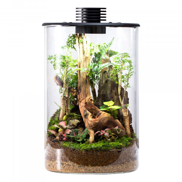 Bioloark Bio Bottle ZD 150 Mini Terrarium für Wabi-Kusa günstig online kaufen