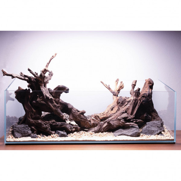 Aquarium mit Flusswurzeln / Driftwood