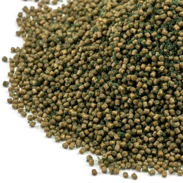 Aquarium Münster | Dr. Bassleer BIOFISH FOOD Chlorella