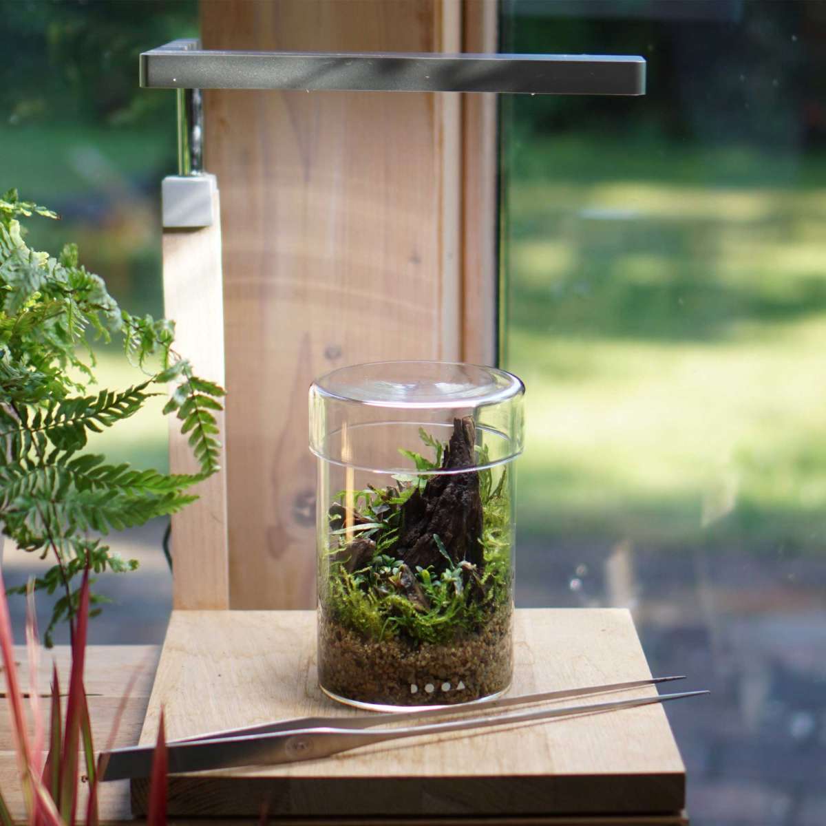 DOOA Glas Pot MARU günstig kaufen | Garnelen-Guemmer