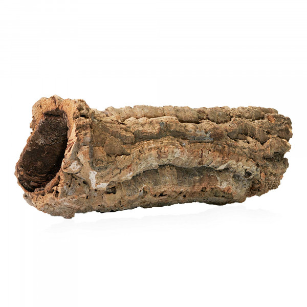 Korkröhren für Terrarium | Natürliche Verstecke und Klettermöglichkeiten Einzelstück