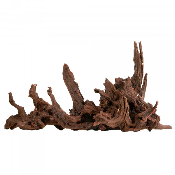 Flusswurzel, Driftwood | Einzelstück Premium 10-25cm