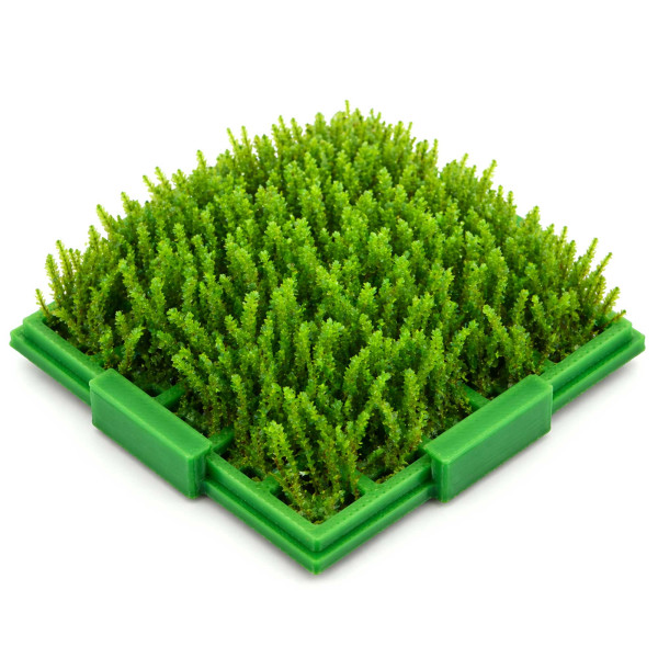 Aquarium Moos Box Mooshalter für Aquarien mit Moos