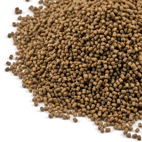 Aquarium Münster Dr. Bassleer BIOFISH FOOD Garlic L