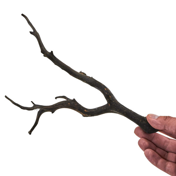 Black Wood Wurzel | Set S Einzelstück größe