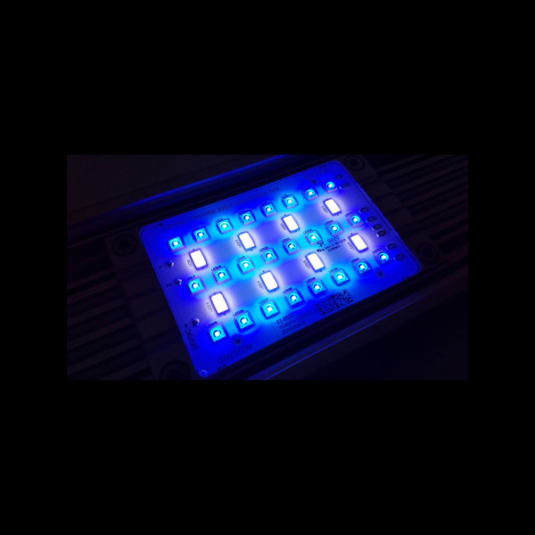 Daytime Matrix LED PRO Modul Marine 3:1 (SunLike Marine) 8000K + Royal Blue + Blue