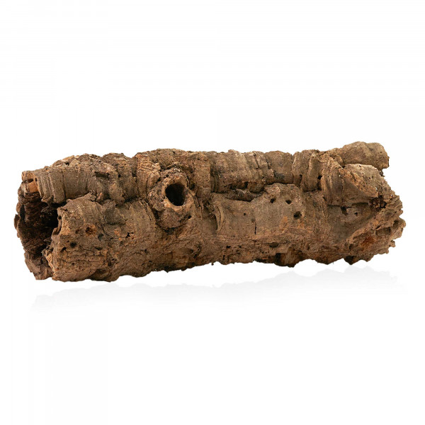 Korkröhren für Terrarium | Natürliche Verstecke und Klettermöglichkeiten Einzelstück