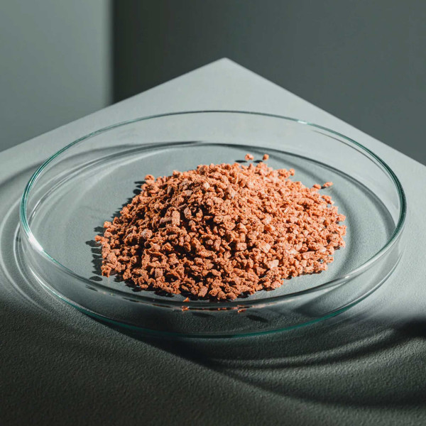 StreamBiz | Skalar Protein+