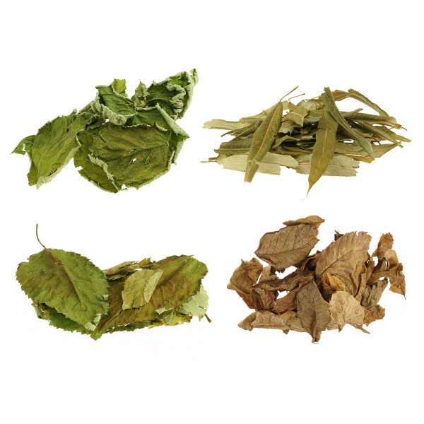 Laubmix 4 Teilig für Aquarium