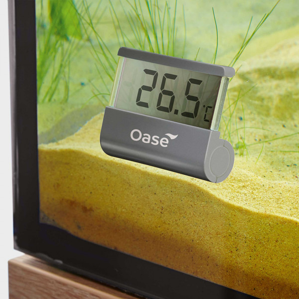 Oase Digitales Thermometer