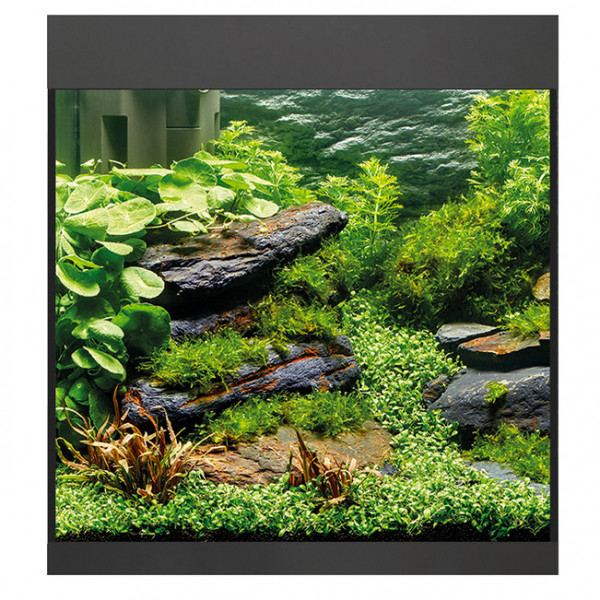 Oase StyleLine 85 Aquarium Komplettset