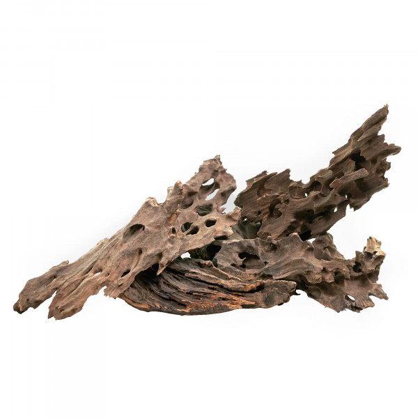 Dragonwood | Drachenholz | Ohkowood Set M