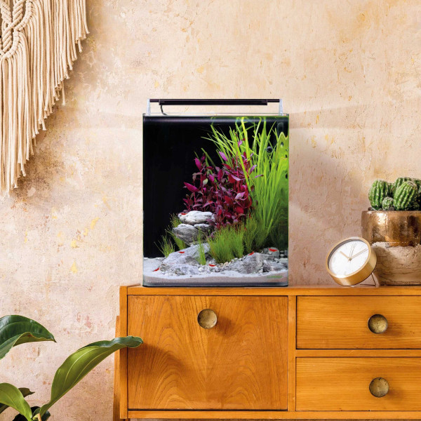 Dennerle Nano Cube Complete 30 Liter eingerichtet