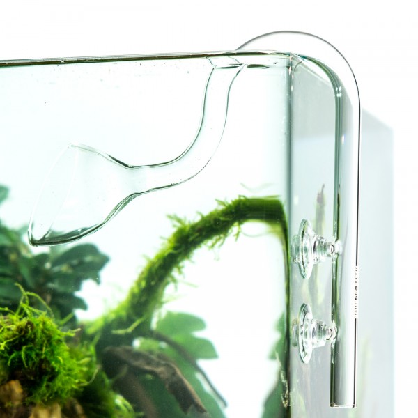 Aqua Rebell Glass Lily Pipe Outflow