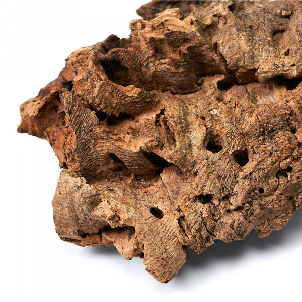 Naturkorkstücke | Korkstücke für Terrarium, Paludarium & Wabi-Kusa - 5 - 20cm