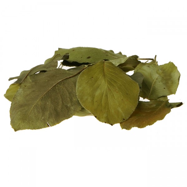 Birnenblätter grün