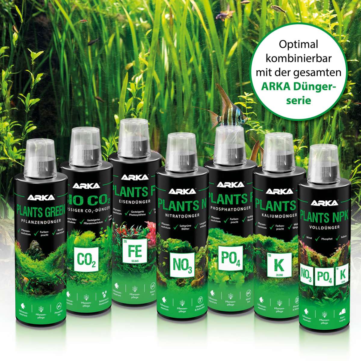 aloe king gesund OKF Aloe Vera King Kiwi 500ml  Yuzu Asia Online Shop
