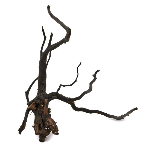 Black Wood Wurzel | Set M Einzelstück