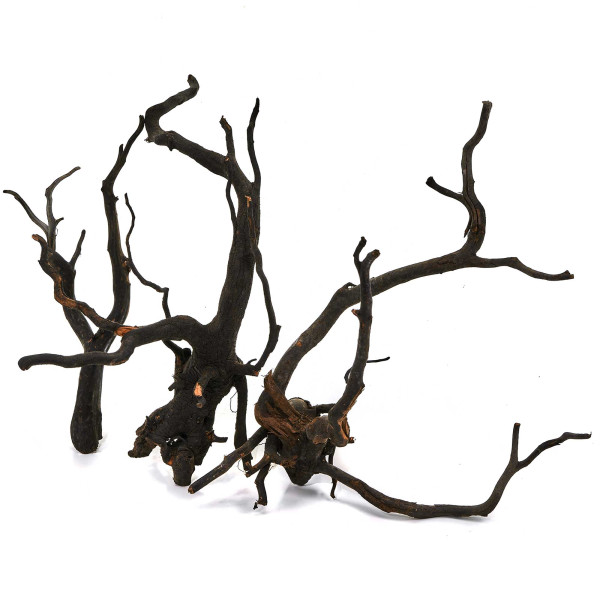 Black Wood Wurzel | Set M