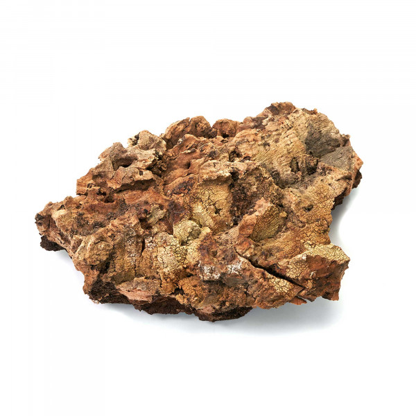 Naturkorkstücke | Korkstücke für Terrarium, Paludarium & Wabi-Kusa - 5 - 20cm