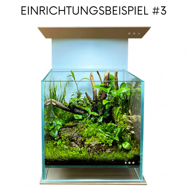 Wabi Kusa Komplett Set Einrichtungsbeispiel 3