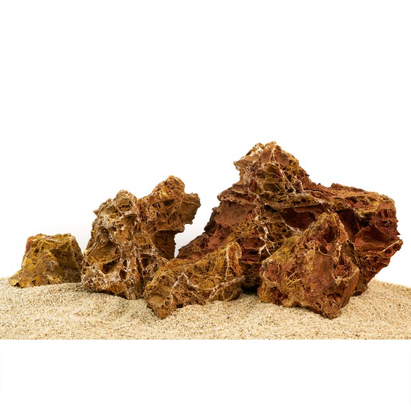 Versteinertes Laub Hardscape Aquascaping Aquaristik