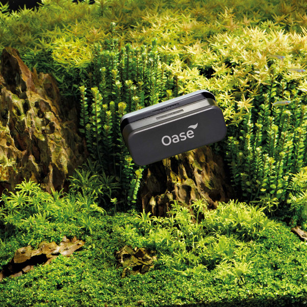 Oase Magnet-Scheibenreiniger