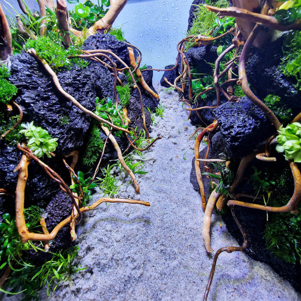 Fuji Stone mit Wurzelholz Aquarium Einrichtung