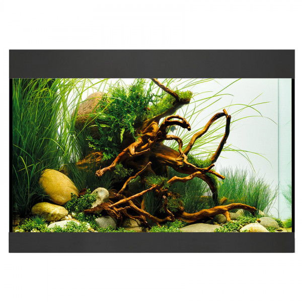 Oase StyleLine 125 Aquarium Komplettset