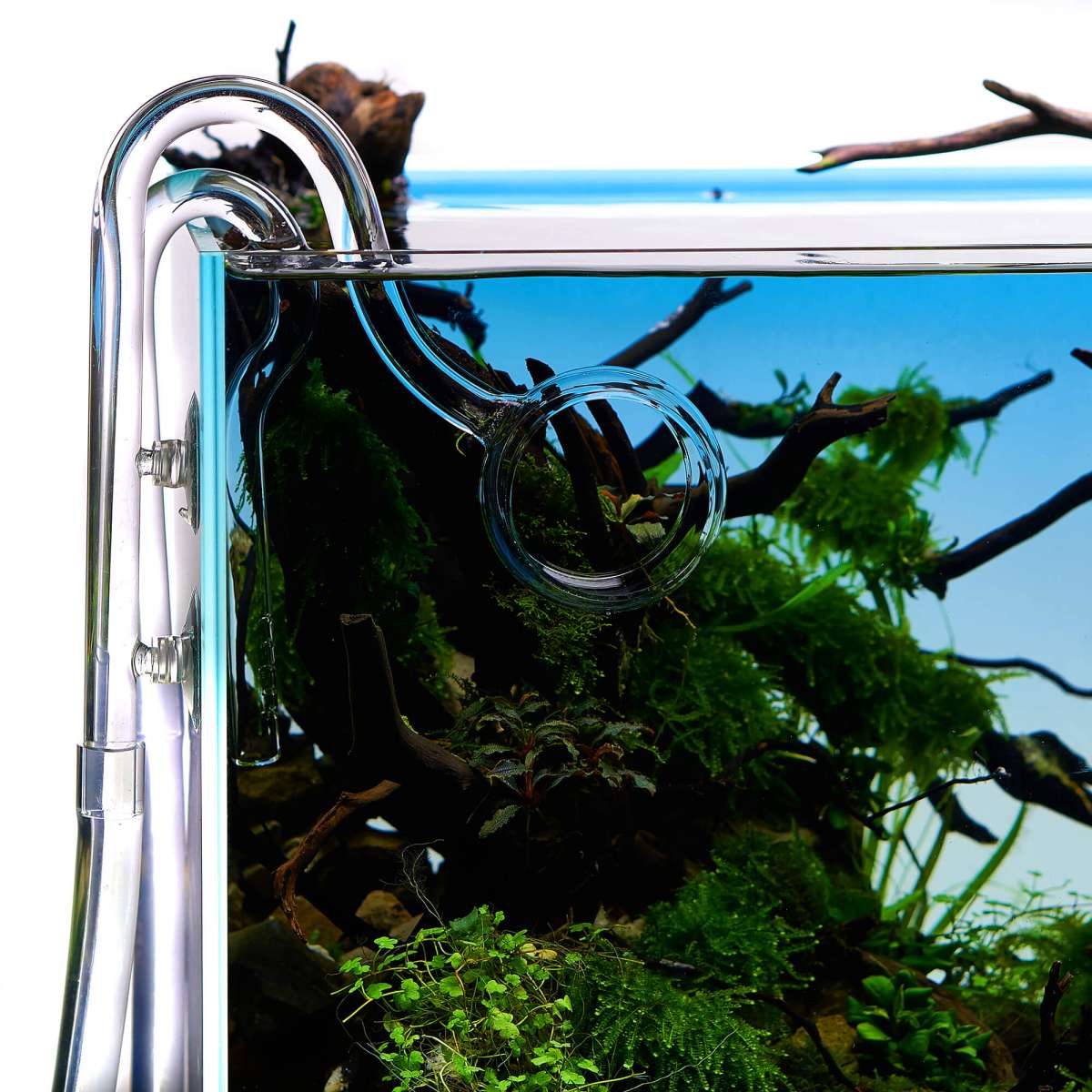 USCAPE Loop Pipe Set – Filtereinlauf & -auslauf Aus Glas, 17 Mm Für 16/22 Mm Schlauch, Sanfte Strömung Für Aquarium