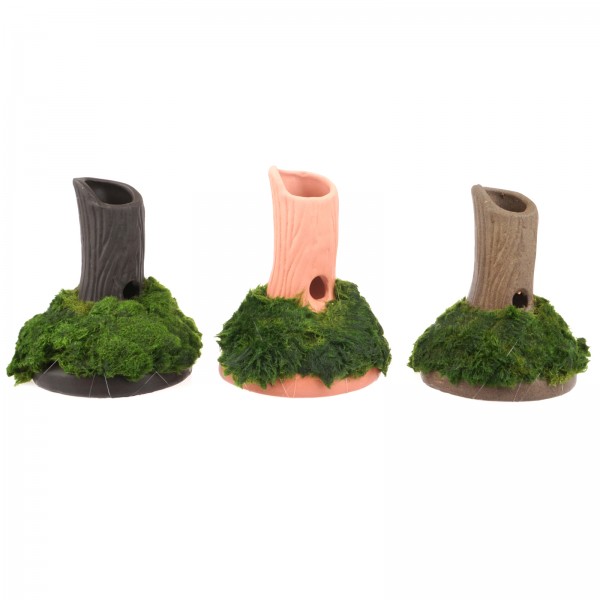 Garnelenstamm BIG 12cm