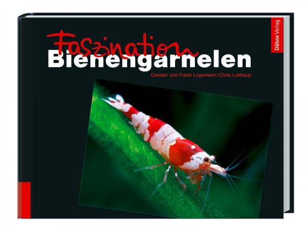 Faszination Bienengarnelen