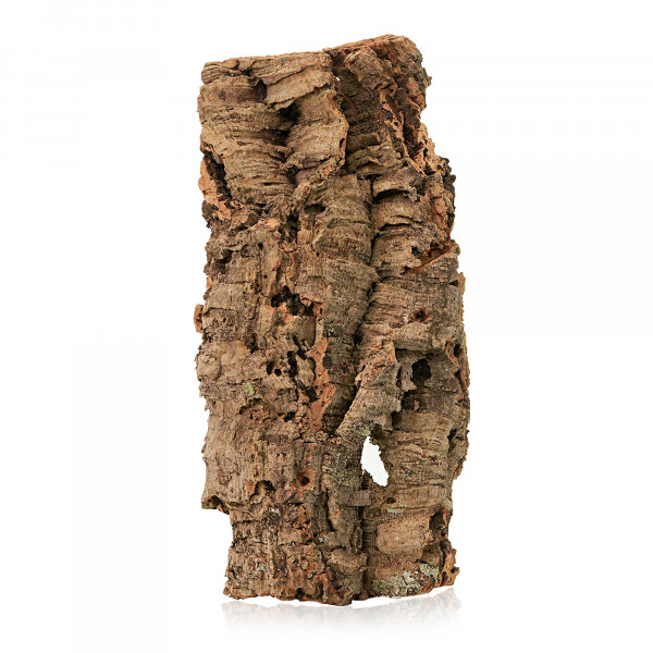 Korkplatten für Terrarium | 30-50cm