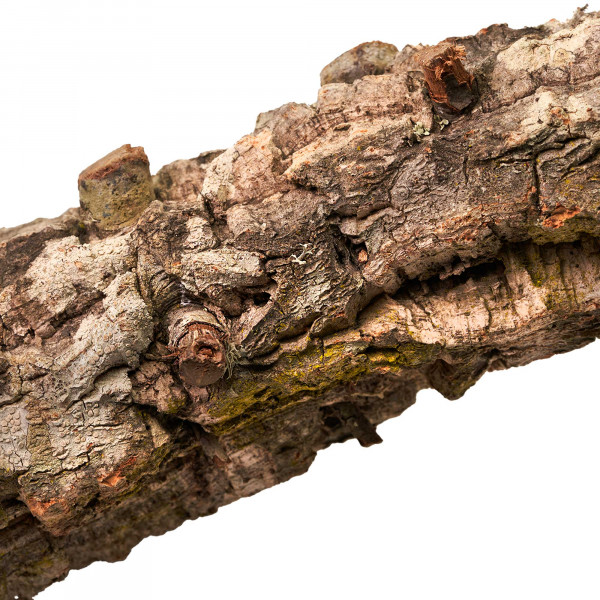 Naturkorkäste für Terrarium| Kork-Tronchos - ca. 60cm Einzeln Rinde