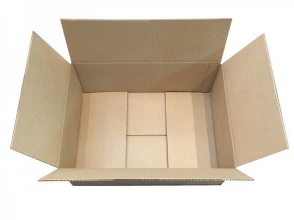 Umkarton für Styroporbox-Versand 10,5 l