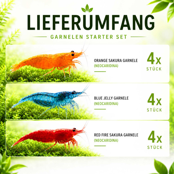Garnelenstarter Mix - Color Crew für Leitungswasser Lieferumfang 10-30 Liter